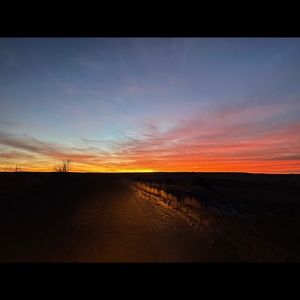 Meet your Posher, Carlee